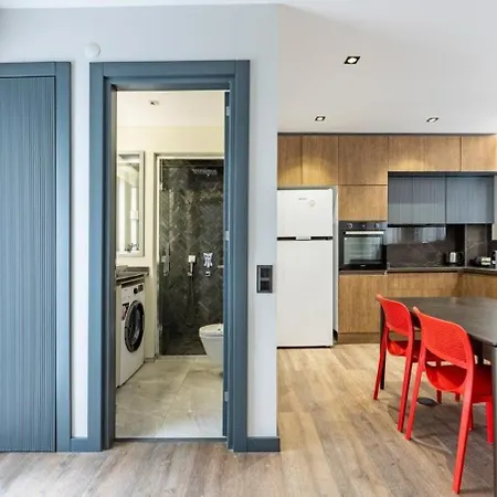 Brand New Duplex Wparking 2bd2bath #336 Istambul